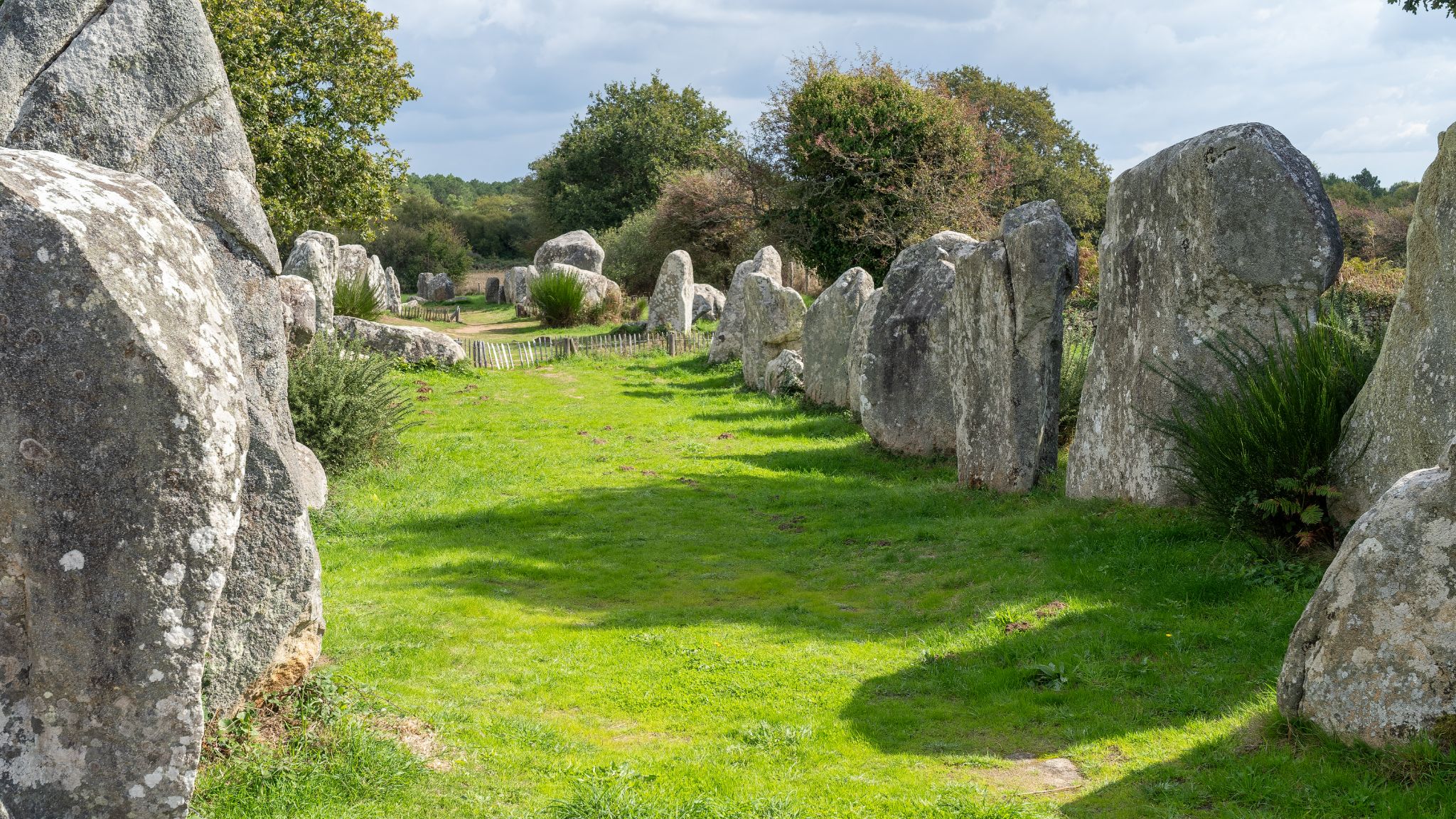 Alignements de Kerzérho